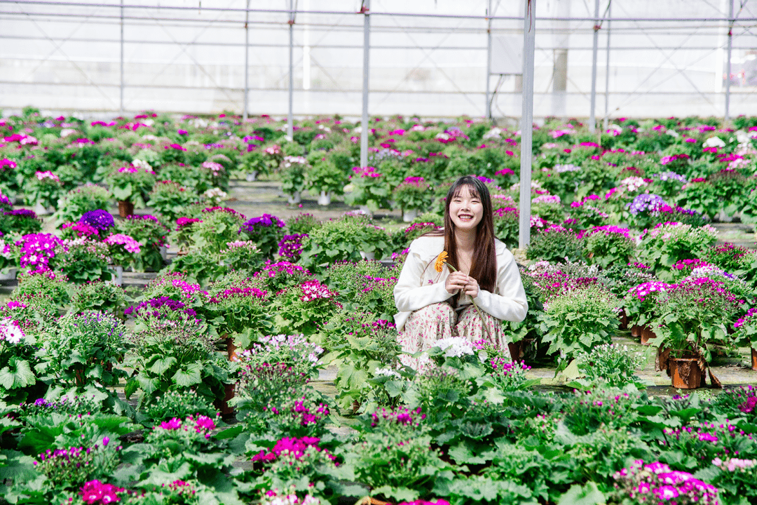 摆设！女神节组团畅玩星沙，奔赴春天的所有美妙~