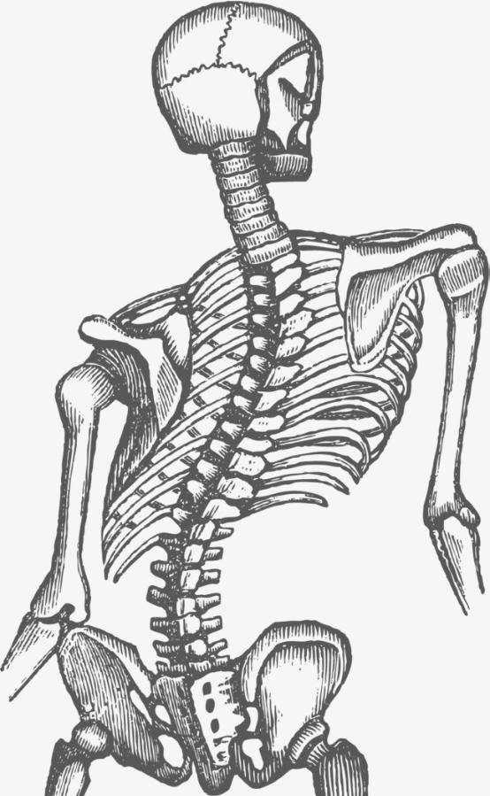 �����������ʬ��Ϊ�λ���ʬ��Ұ������������Ԥı�������� ...