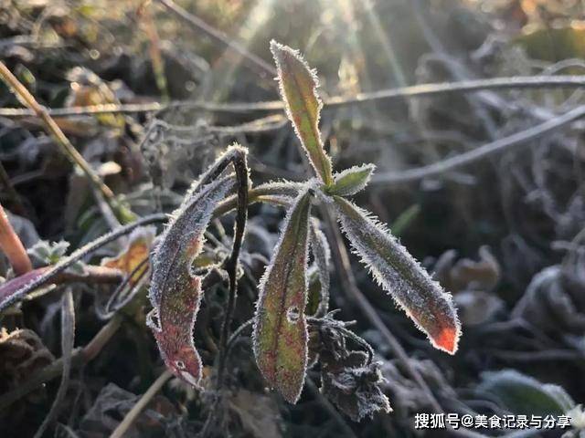 今日立秋，立秋呈现打雷下雨，有什么征兆吗？看看前人留下的谚语