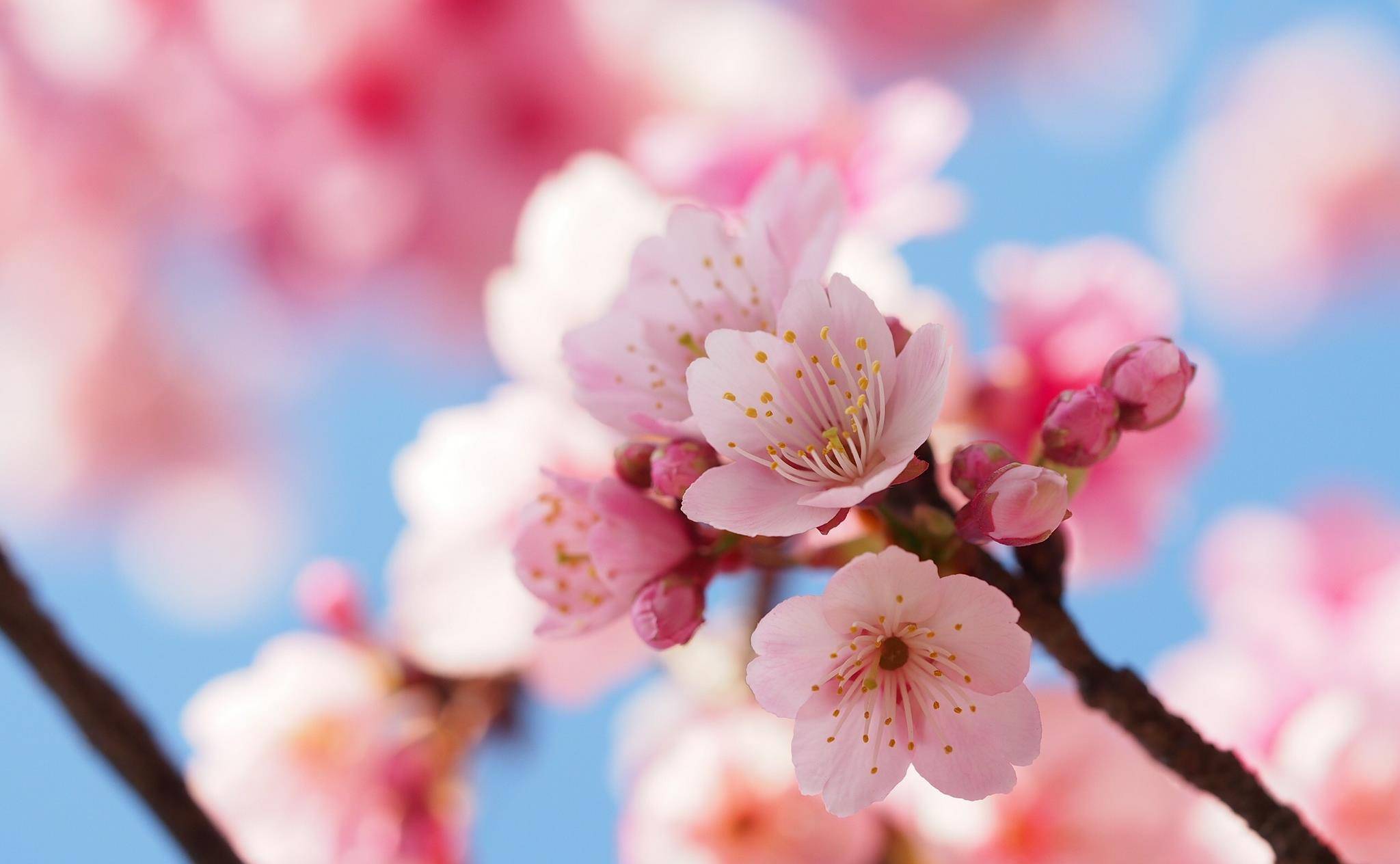 3月11日之后，你将远离“富贵”之地和事业日趋成熟的星座