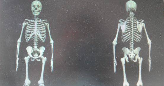 �����������ʬ��Ϊ�λ���ʬ��Ұ������������Ԥı�������� ...