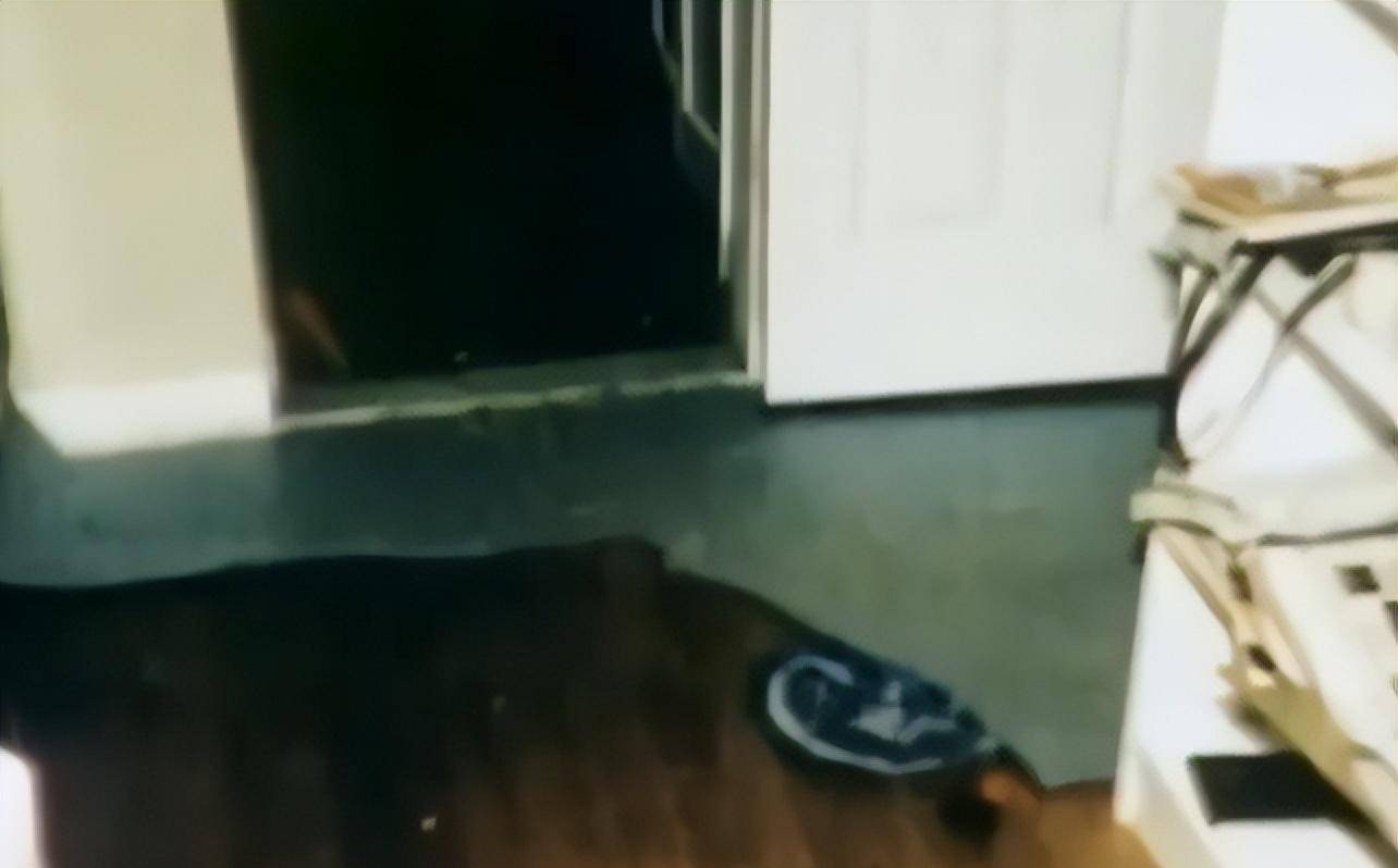 ����ڳ���֮ս���ս�����ʧ�ٺ󣬻�����̽�̿���ʽ������ ...