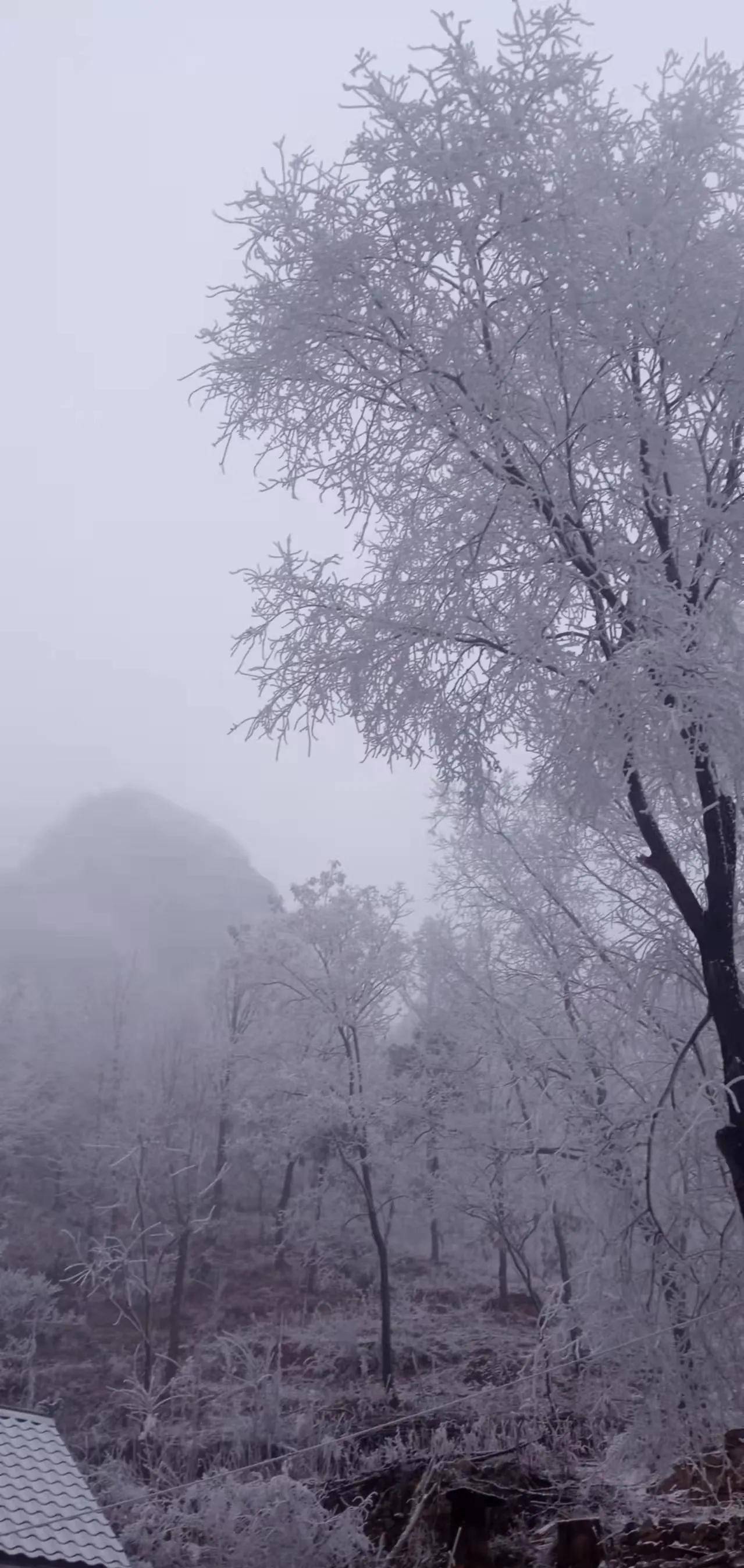 在新乡南太行山区有两个免费景区，一年四时都有美景，快保藏起来