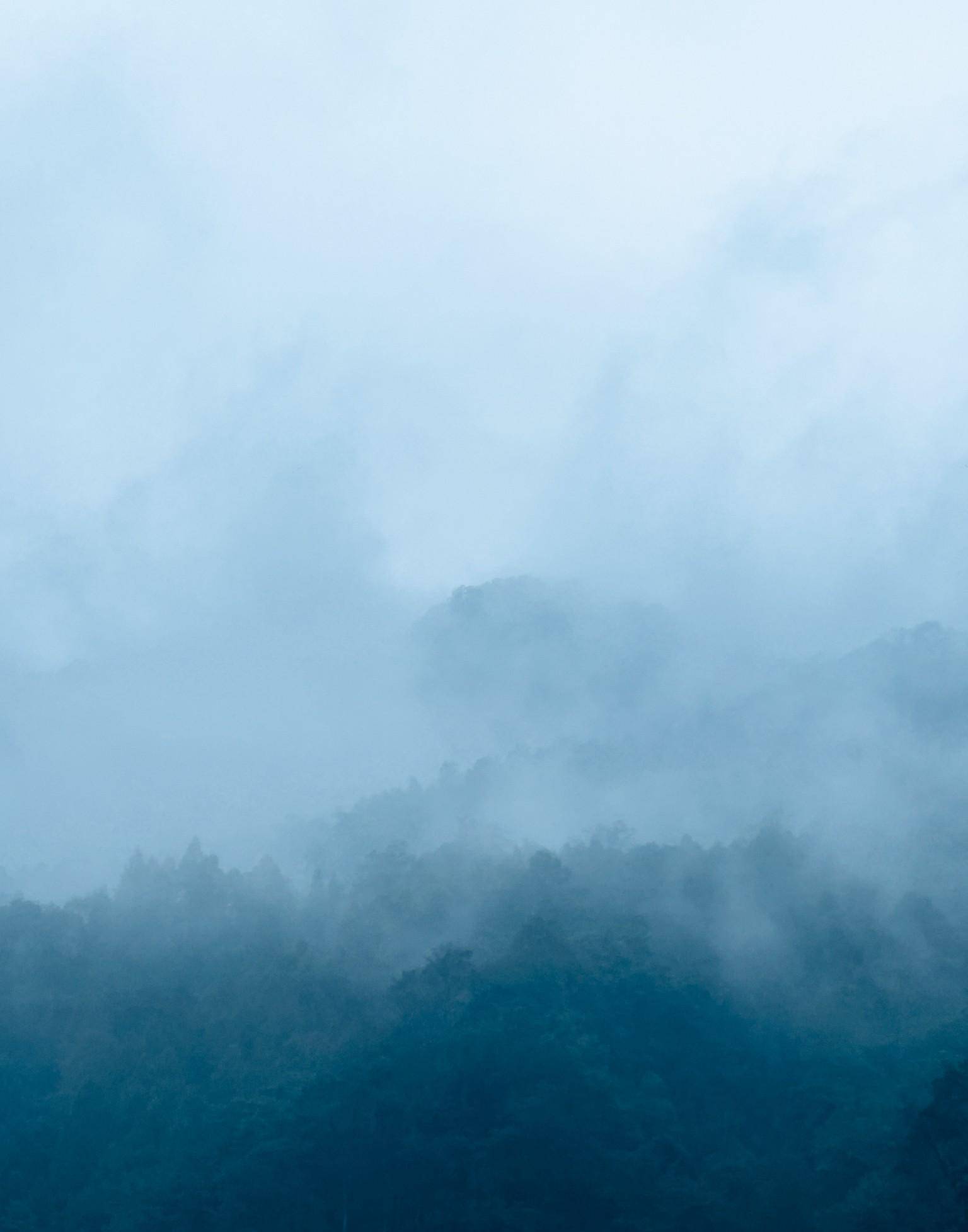 成都青城全国幽，游前山仍是后山，到底怎么选？