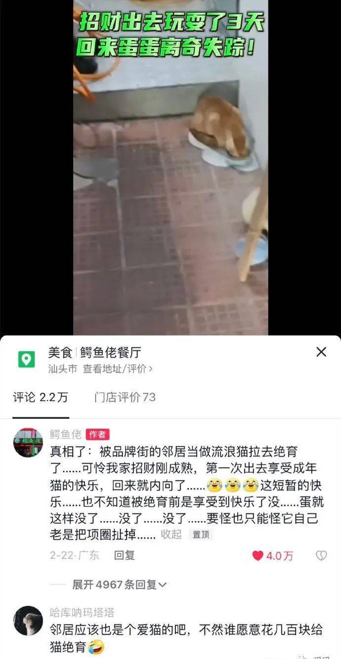 都在模拟高启盛，那是全网最像的模拟...丨搞笑为难图