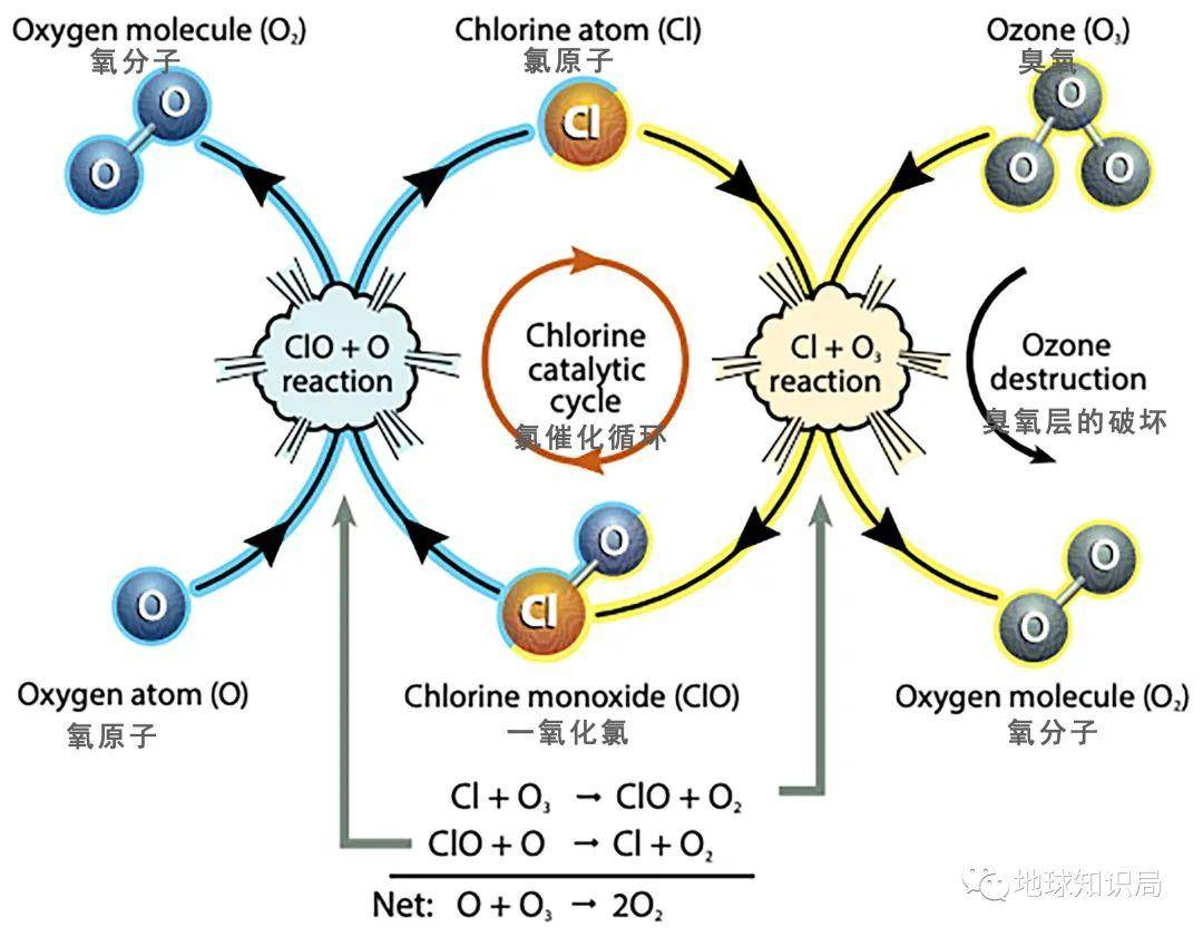 ��ת�ˣ������շ����ڱ�С��| ����ѧ�ʾ�