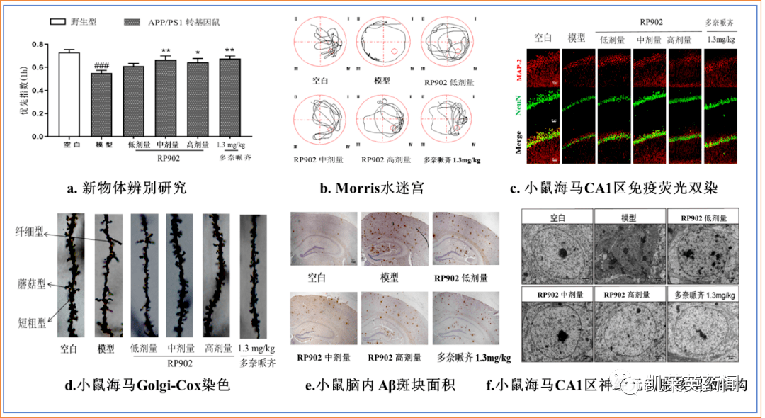 渤健/卫材第二款新药获批，礼来新药被拒，AD药物研发是曙光仍是暗中？