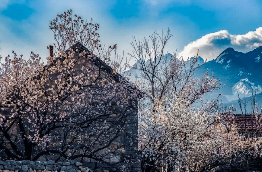 【原创诗词】周嗣远 | 酒至三巡人未醒，梅香桃艳李花馨（诗词十四首）