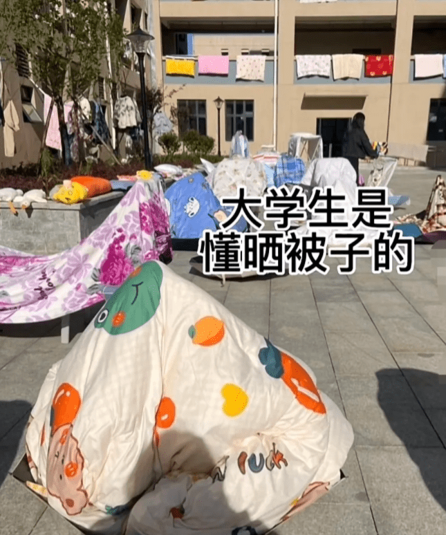 大学生是懂晒被子的，教师看后也心悦诚服，公然有文化就是纷歧般