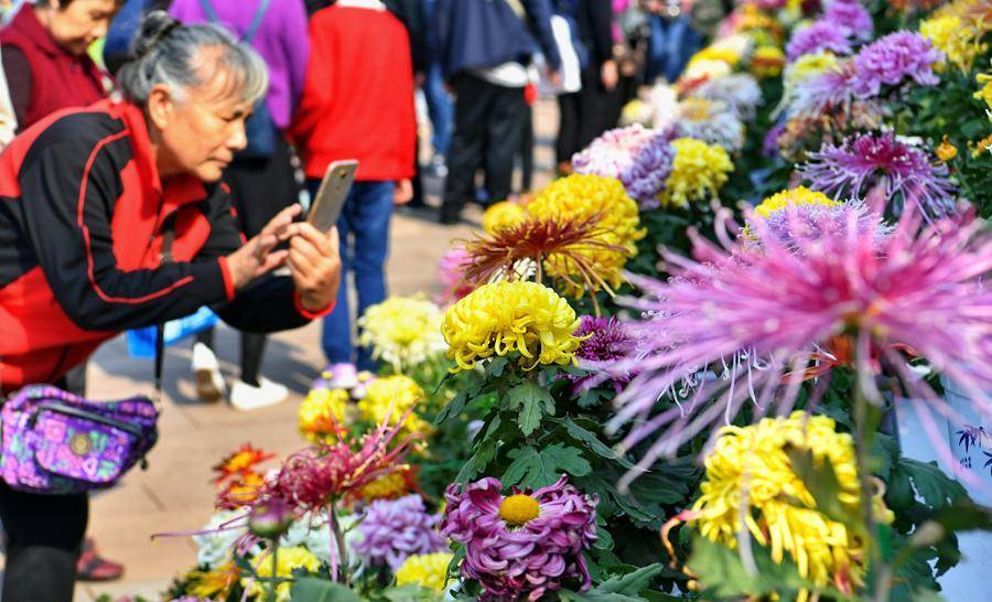 重阳节了，再忙也要关心父母，吃4样做4事，忌3事，家人安康长命