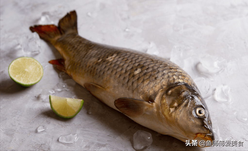 鲤鱼含有丰富的优质蛋白质、氨基酸、维生素、脂肪、烟酸及钙、磷、铁等