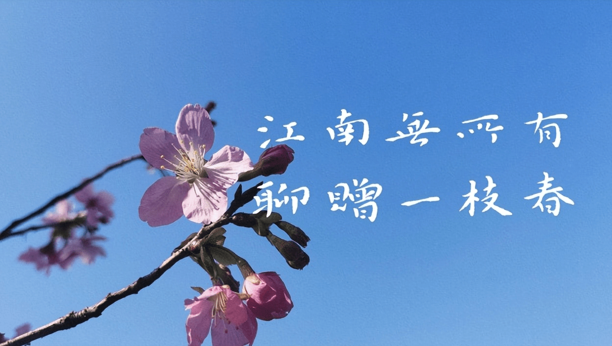 一生不愁吃穿，有爱也自在，祝你也愿我