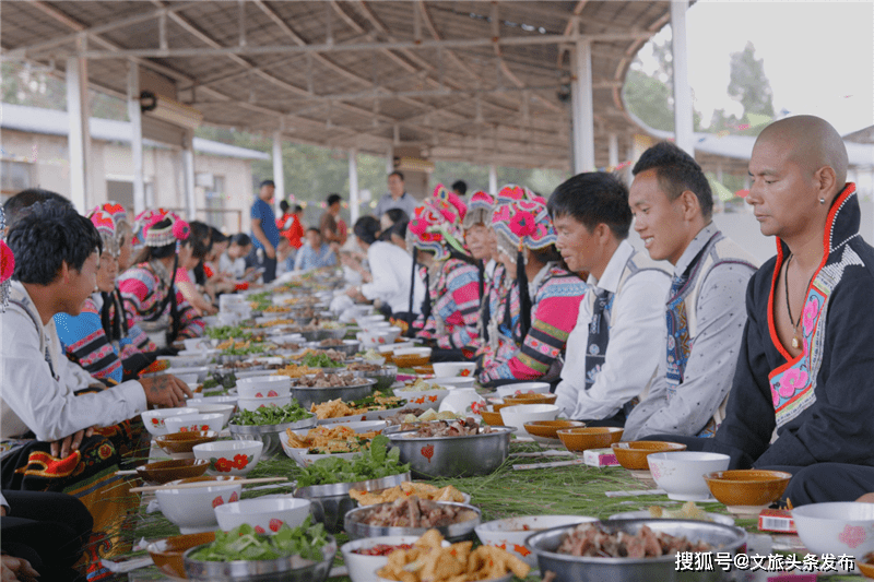 3月25日 玩转武定牡丹文化旅游节