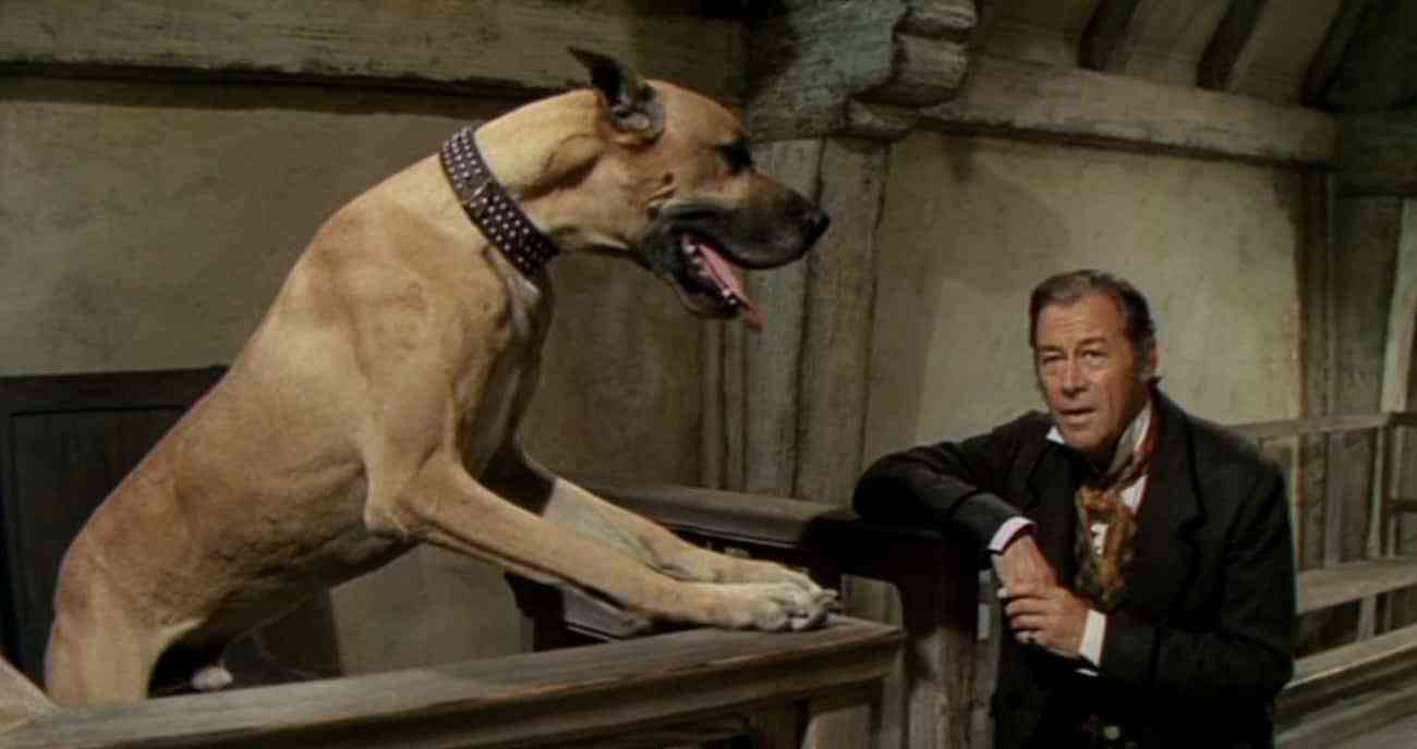 ��������ҽ��������γ�Ϊһ������ֱ�ٵ�20���͸���˹��Ӱ ...