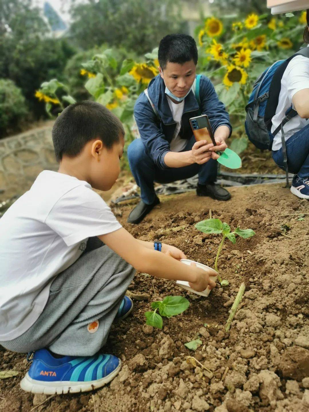 “春暖花开，我们在一路”——诺亚舟雅筑幼儿园百万葵园亲子春游