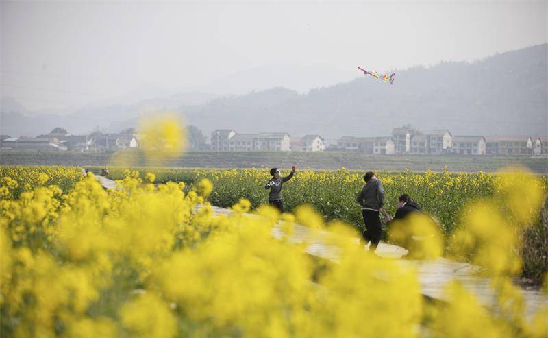 宜趁东风放纸鸢！握牢“平安”线，打卡石家庄好“趣”处