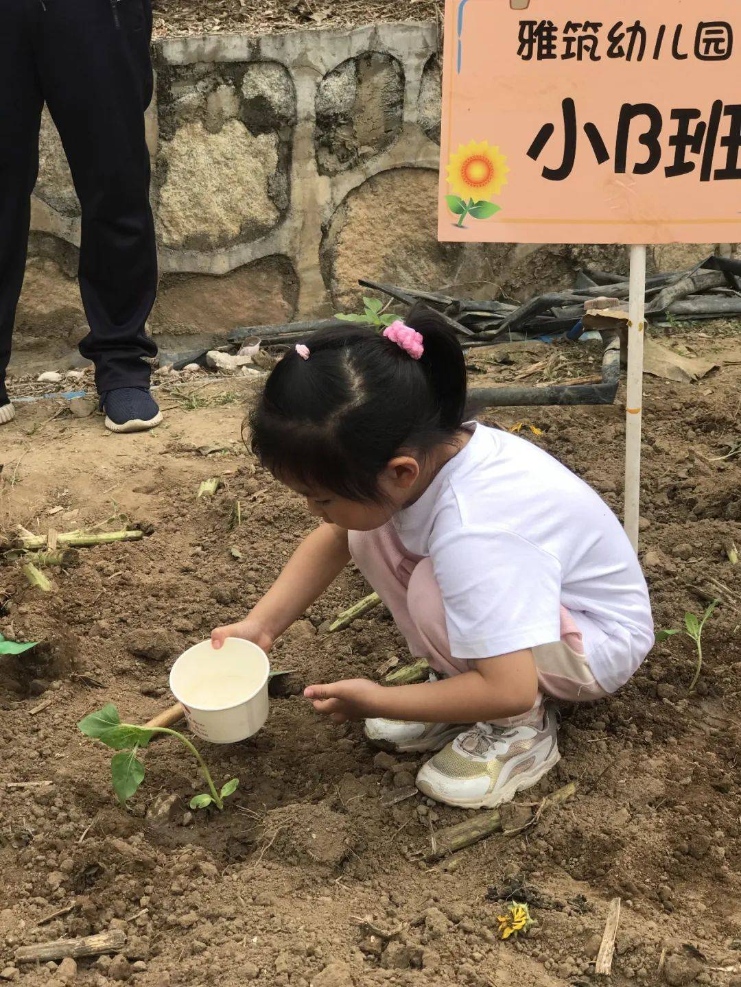 “春暖花开，我们在一路”——诺亚舟雅筑幼儿园百万葵园亲子春游