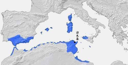 ���޹Ŵ�25���۹�������������������ʢʱ��������� ...