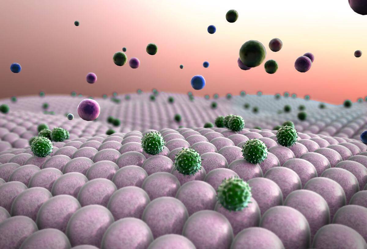 ŵ������ȡ����ά����ϣ�������Լ��⼮�����ݣ�ֻΪȡ�� ...