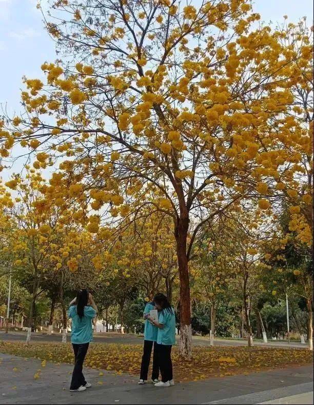 “校花”来袭，满园春色关不住，一路来看看你的学校