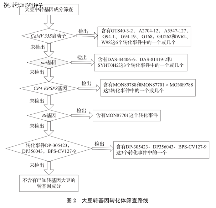 次要农做物种子中若何快速、准确、高效筛查转基因成分？