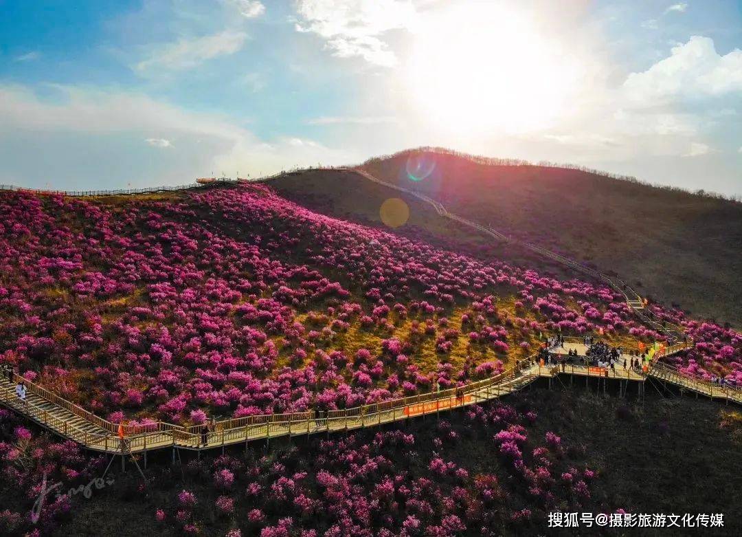 内蒙古春季网红打卡地榜单揭晓！呼伦贝尔两地榜上有名！