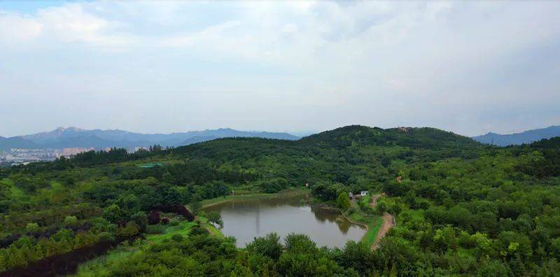 绿地凤玺台，进退皆山河 | 青岛塔尖圈层都在等的半山台墅