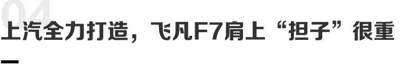 M6米乐热石理疗椅能让飞凡躺赢么？2099万起的飞凡F7将扛起销量重担(图12)