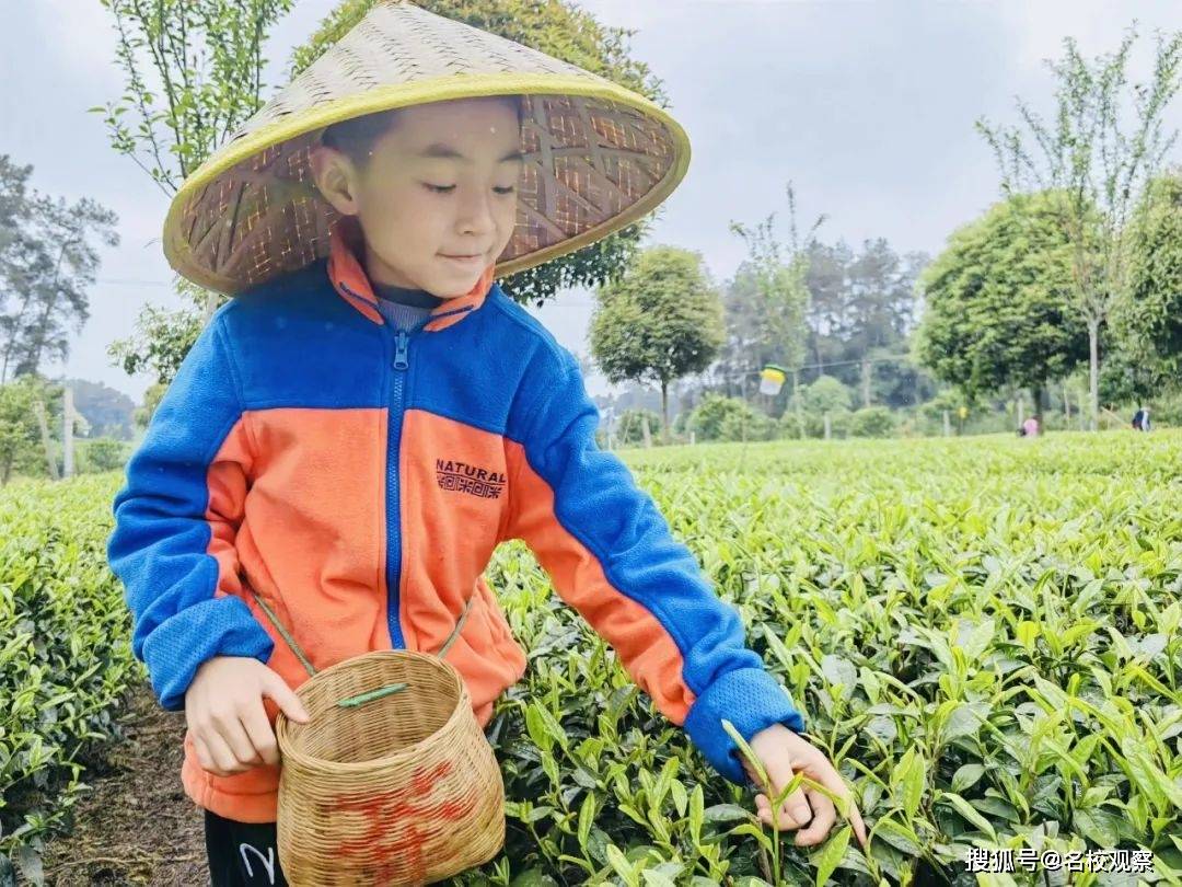 踏青赏春、绘画风筝......新世纪外国语，以清明节为契机，开展丰硕多彩的活动