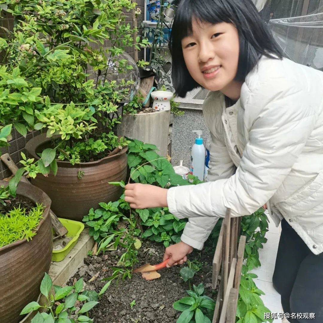 踏青赏春、绘画风筝......新世纪外国语，以清明节为契机，开展丰硕多彩的活动