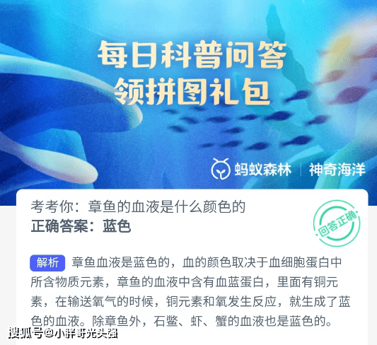 考考你：章鱼的血液是什么颜色的？蚂蚁丛林奇异海洋