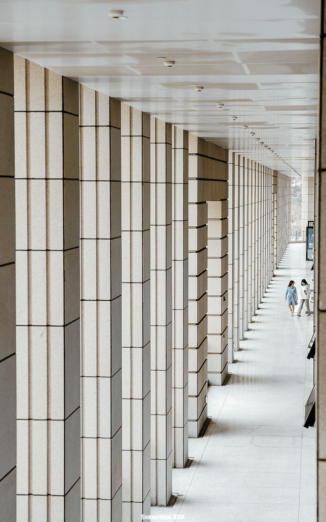 LOOK！那是深圳北理莫斯科大学