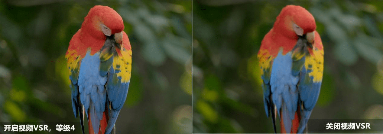 iGame RTX 4070�����Կ����⣺��Ԫװ������Ѵ��