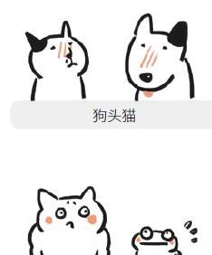 猫咪奇葩说：小猫咪的美陈旧见解，丑的却是各有所长