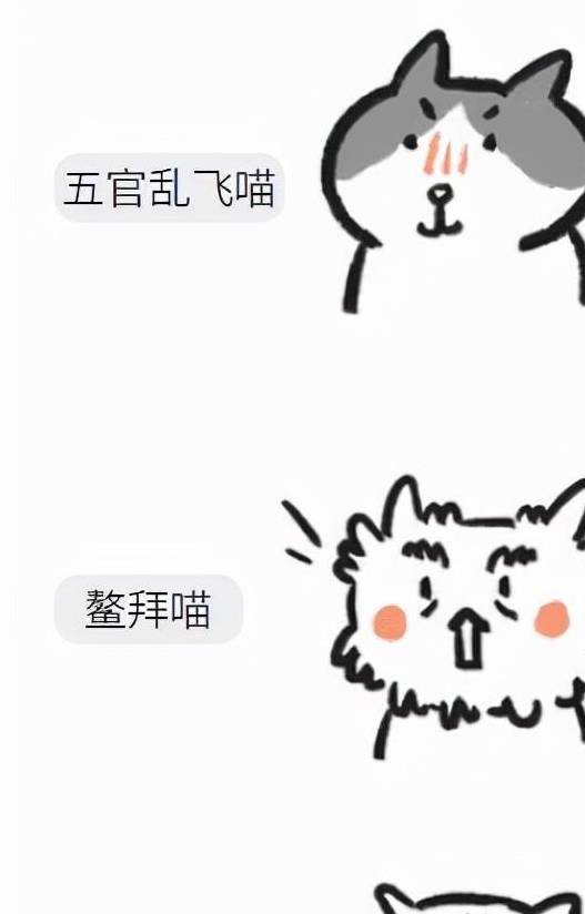 猫咪奇葩说：小猫咪的美陈旧见解，丑的却是各有所长