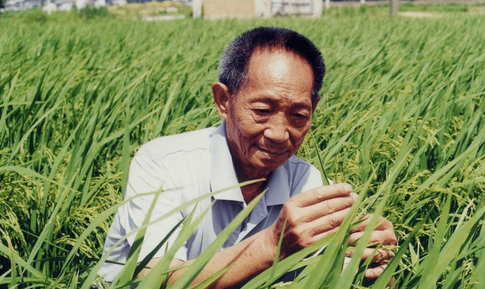 b体育食顾问新食养定制 — 引领饮食健康迈向第四次革命(图1)