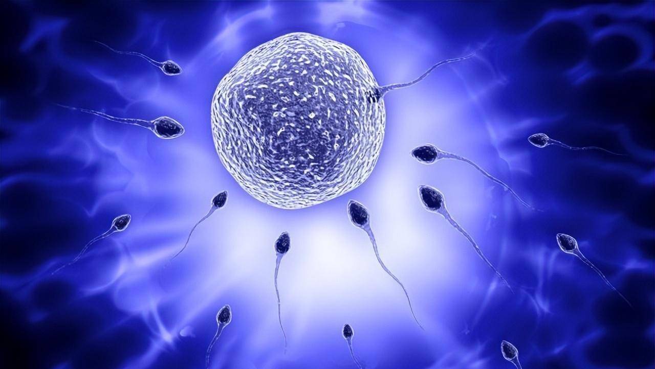精液是什么？精液是男性生殖系统中产生的一种生殖液体，是生殖细胞和多
