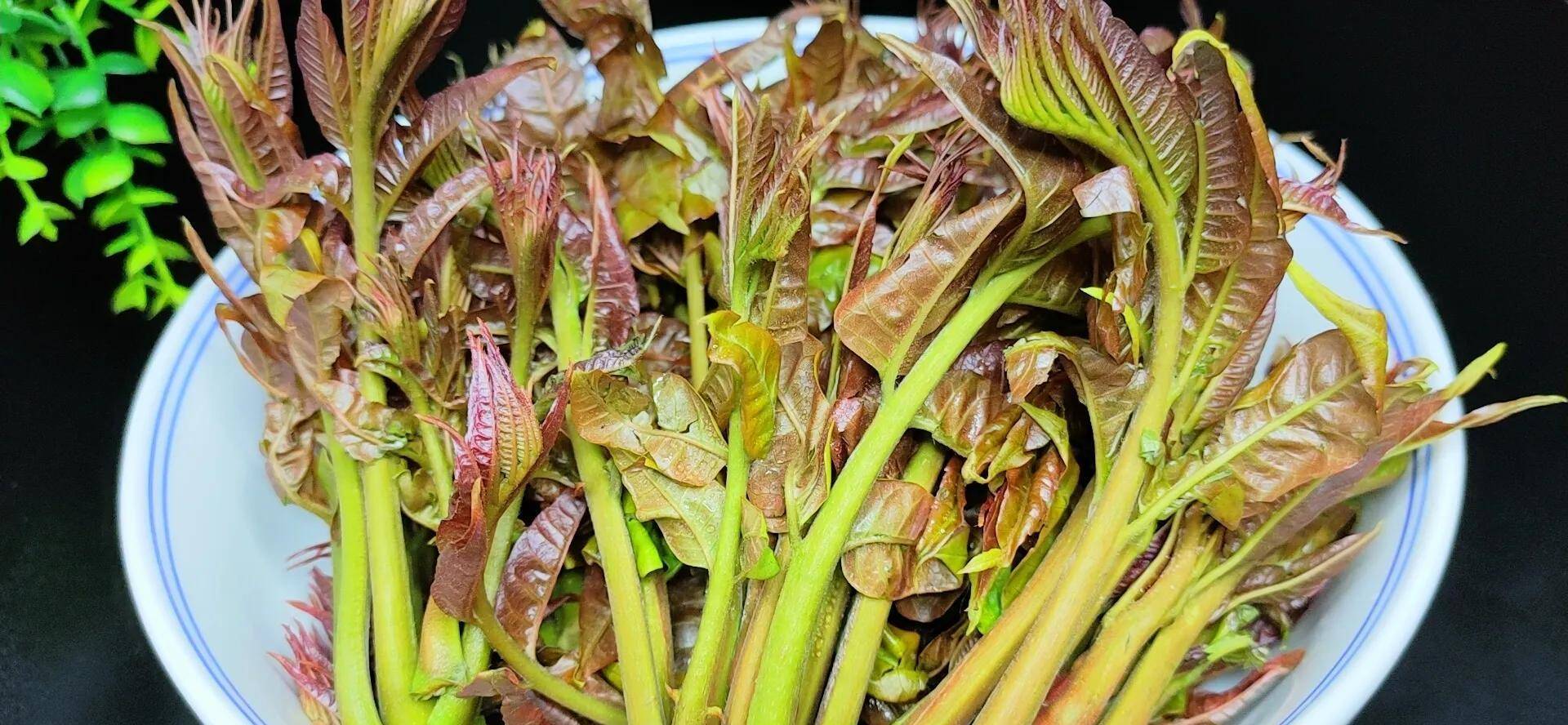 香椿直接吃是大错，酒店大厨教我正确做法，香味浓郁，健康又营养