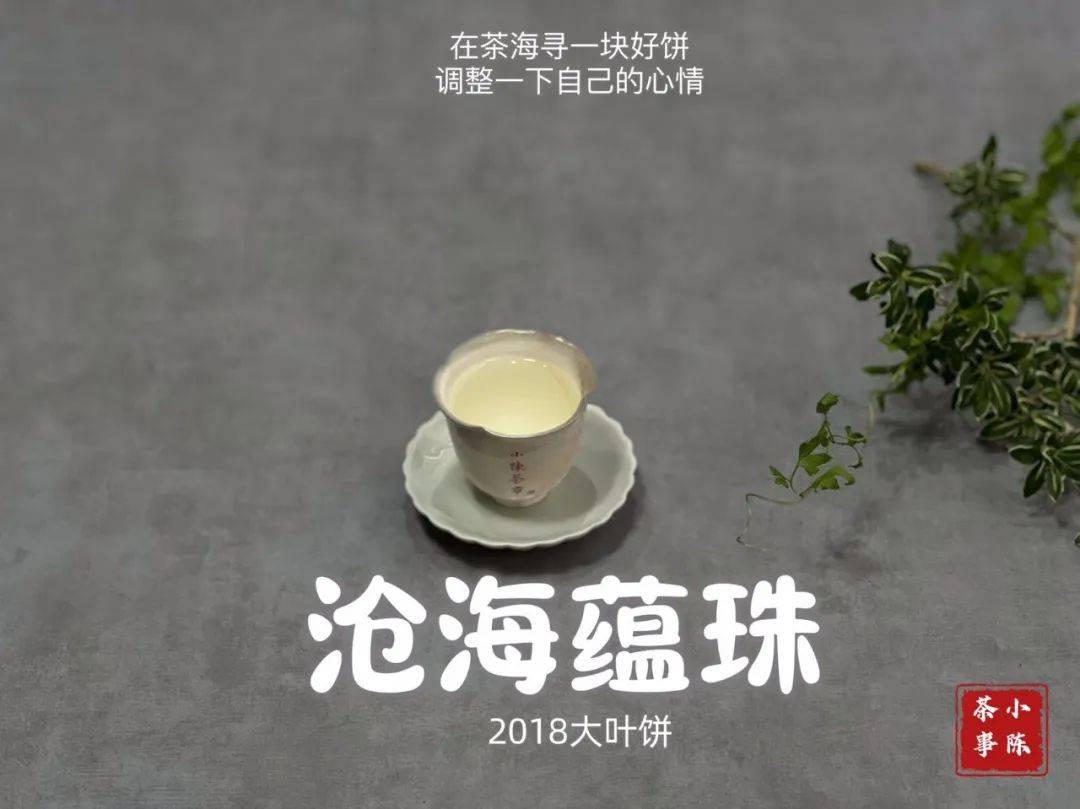 国内正规的助孕机构有哪些品牌（老白茶泡几秒）白茶醒茶要多长时间，