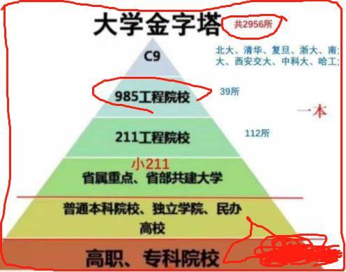 im体育学校分等级的背后(图3)