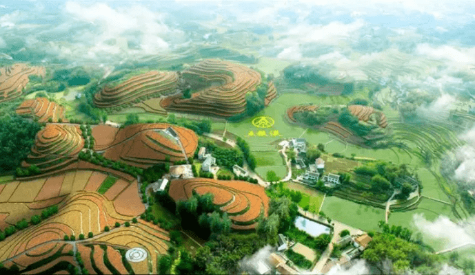 四川宜宾开云 开云体育官网现代农业园区发展现状和存在问题分析