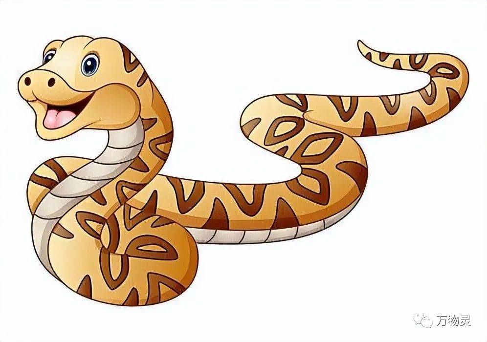 原创​俗话说打蛇打七寸，这个七寸在哪儿呢？蛇的弱点是什么？