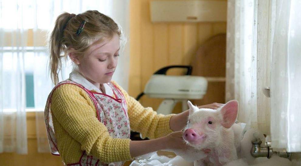 电影《夏洛特的网》，虽然这世间人心险恶，但你要坚持美好