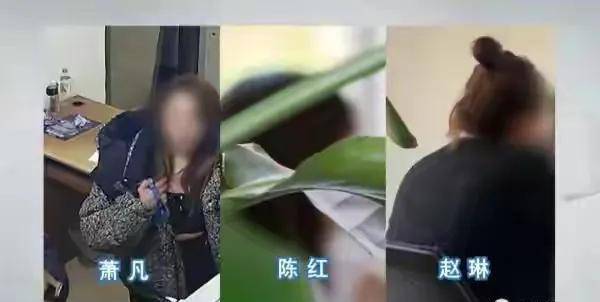 渣男脚踏三只船！被前女友们联手送进监狱！