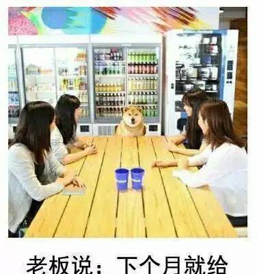 轩辕传奇没人玩,轩辕传奇手游后期职业排行2020 轩辕传奇没人玩,轩辕传奇手游后期职业排行2020