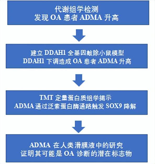 又一个生物标志物adma被发现！可为oa治疗提供新方向