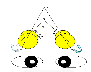 眼视光基础PART 3—眼睛的集合 眼视光基础PART 3—眼睛的集合
