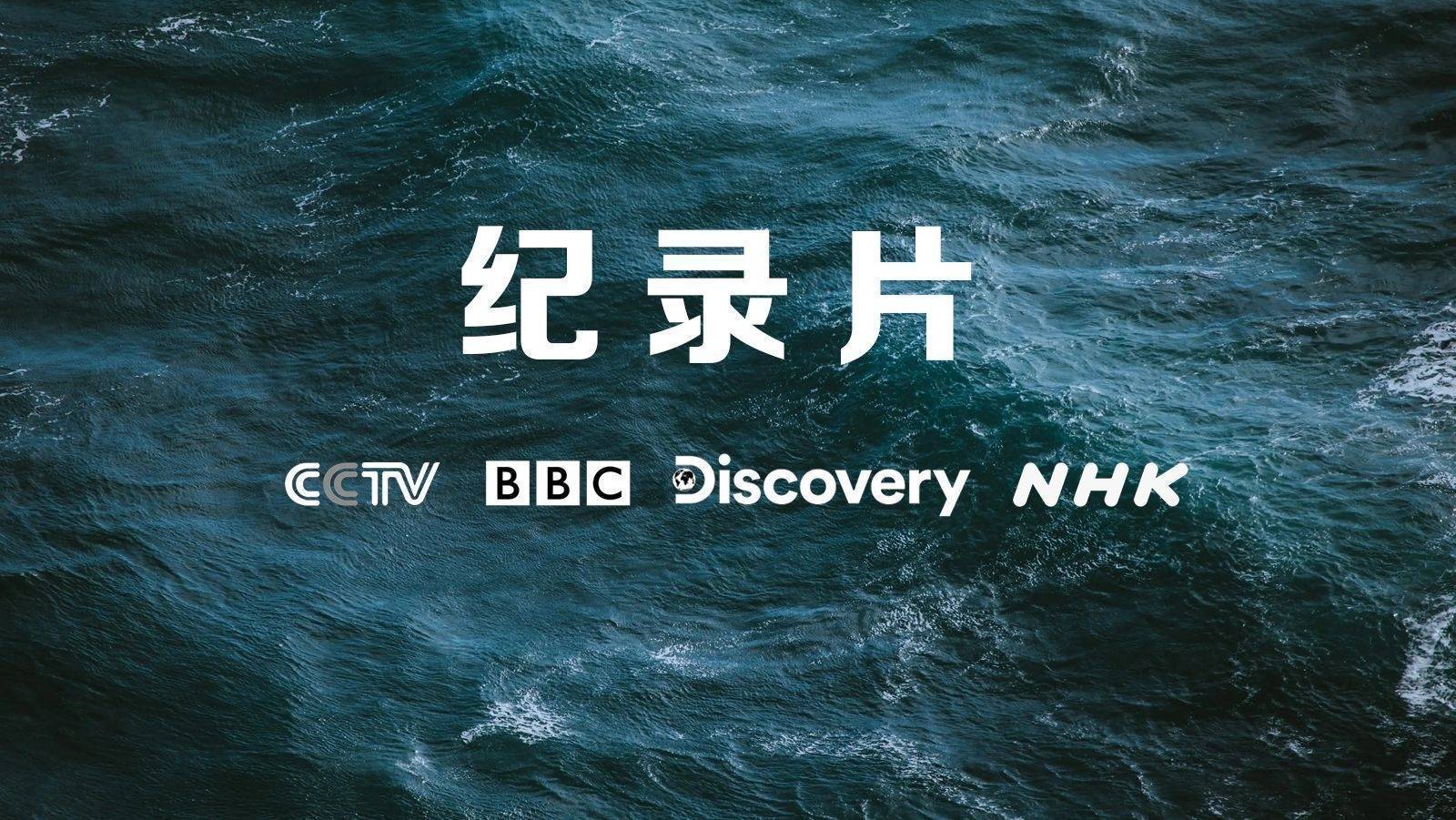 纪录片 《寿司之神 Jiro Dreams of Sushi 》全集1080P超清下载