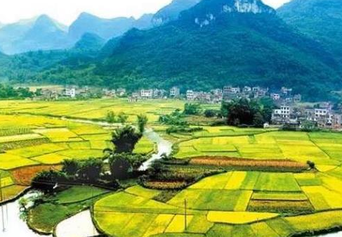 以往火爆的农家乐为何“凉了”？“乐”字背后开云体育 开云平台有哪些困境？(图7)