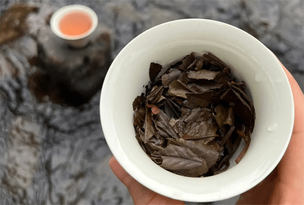 博鱼官网白茶买新茶仍是老茶 新老白茶区分及收购指南